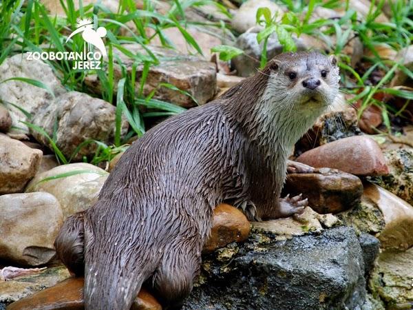 Imagen 12 Refaccionaria Unión foto