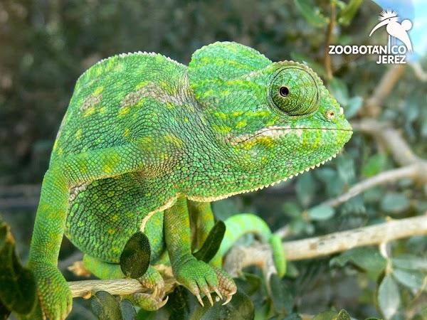 Imagen 13 Refaccionaria Unión foto