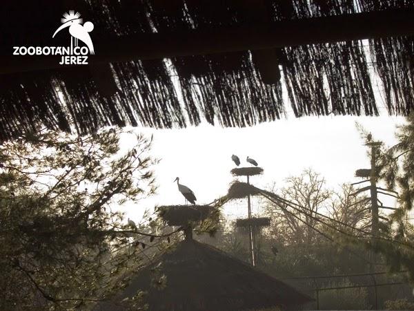 Imagen 14 Refaccionaria Unión foto