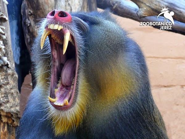 Imagen 16 Refaccionaria Unión foto