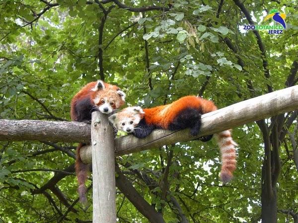 Imagen 20 Refaccionaria Unión foto