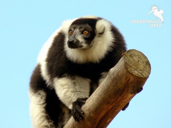 Imagen 4 Refaccionaria Unión foto