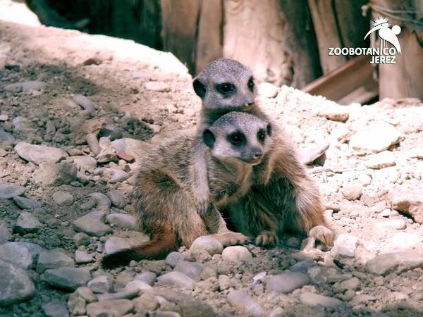 Imagen 5 Refaccionaria Unión foto