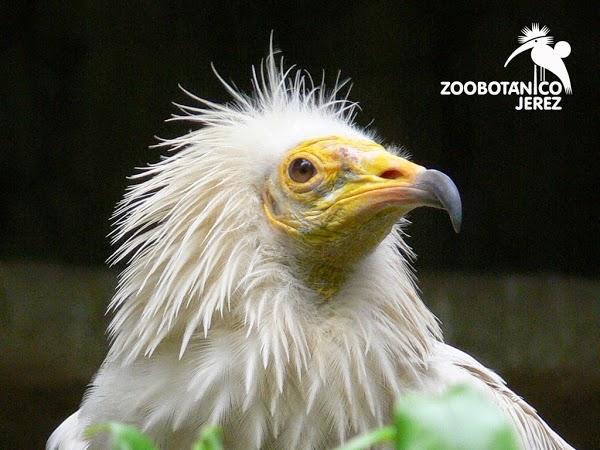 Imagen 7 Refaccionaria Unión foto