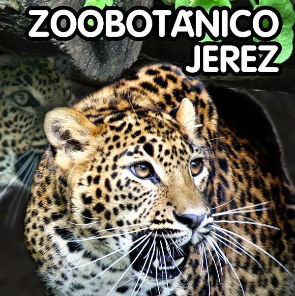 Imagen 9 Refaccionaria Unión foto