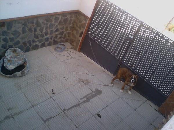 Imagen 5 Copec foto