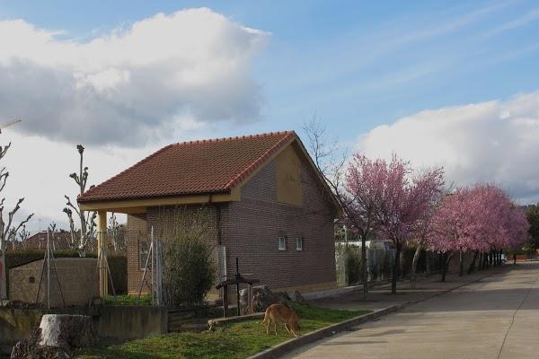 Imagen 31 Centro de Estudios Aeronáuticos de Mazatlán foto