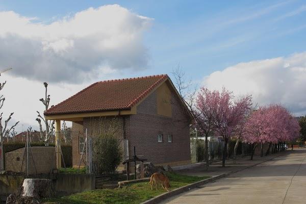 Imagen 10 Centro de Estudios Aeronáuticos de Mazatlán foto