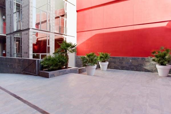 Imagen 5 Turismo de Murcia Convention Bureau foto