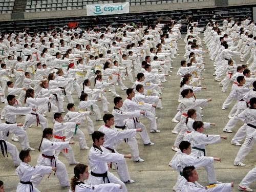 Imagen 104 Dojo Hikari - Escuela de Aikido y artes marciales foto