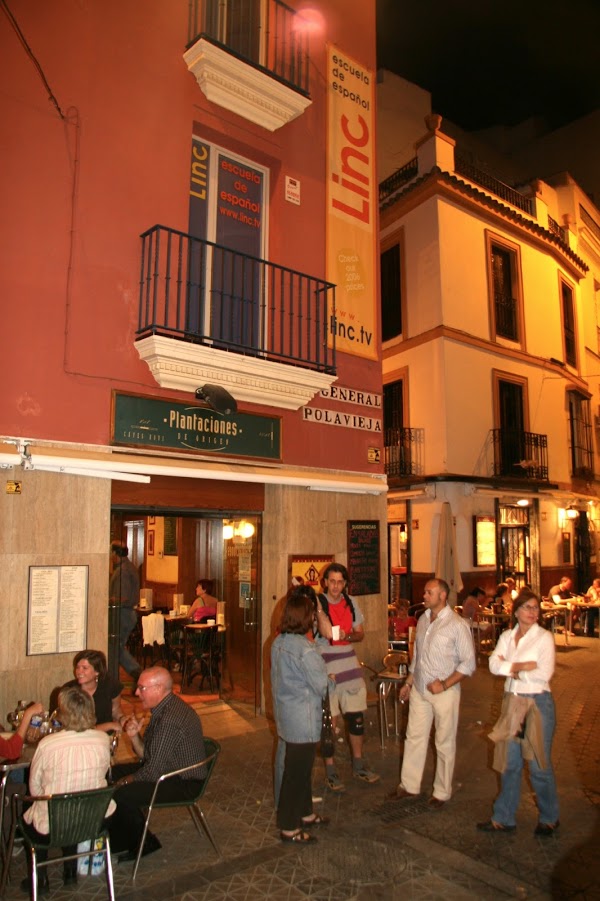 Imagen 154 Academia Inglés Sevilla - Linc La Estrella foto