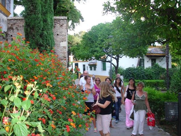 Imagen 60 Academia Inglés Sevilla - Linc La Estrella foto