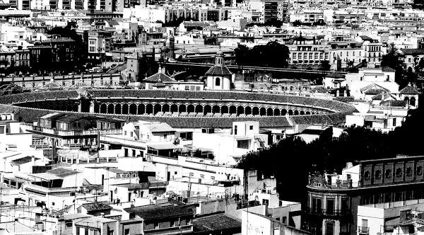 Imagen 65 Academia Inglés Sevilla - Linc La Estrella foto