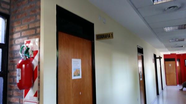 Imagen 29 Yamaimport foto