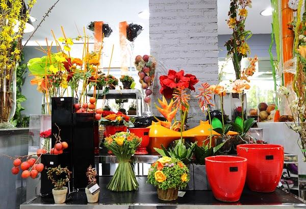 Imagen 16 recyclo bike shop foto