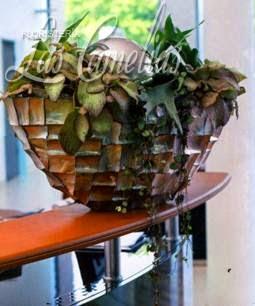 Imagen 24 recyclo bike shop foto