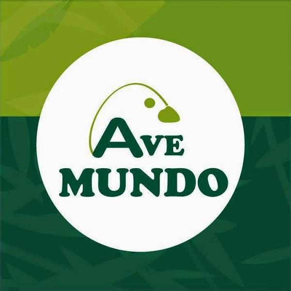 Imagen 2 CEIP Serafina Andrades foto