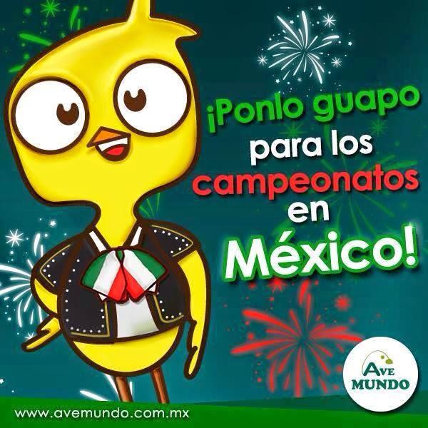 Imagen 3 CEIP Serafina Andrades foto