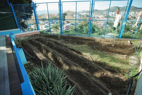 Imagen 16 El Árbol Blanco foto