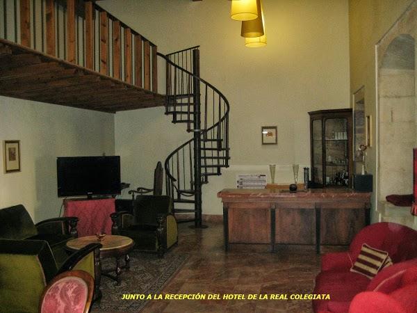 Imagen 6 El Árbol Blanco foto