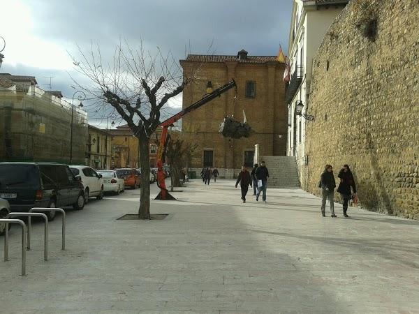 Imagen 8 El Árbol Blanco foto