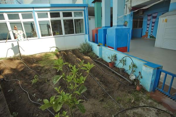 Imagen 78 El Árbol Blanco foto