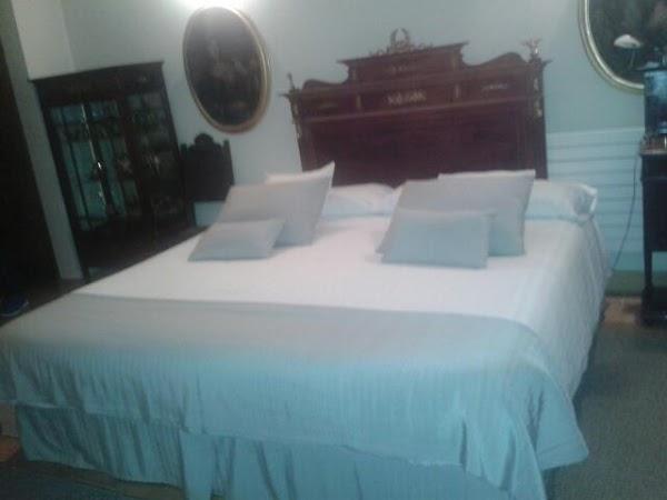 Imagen 10 El Árbol Blanco foto