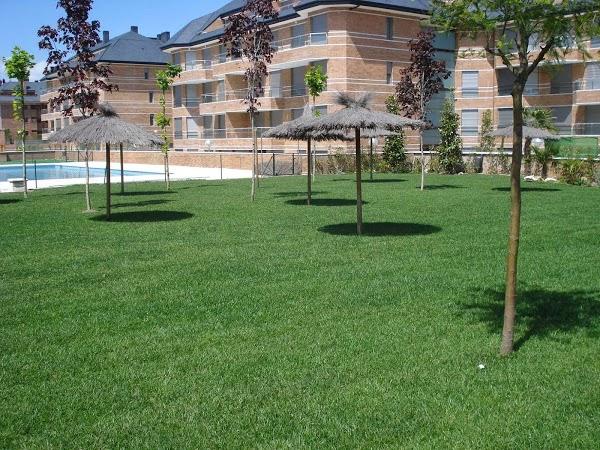 Imagen 20 Club Deportivo Naco foto
