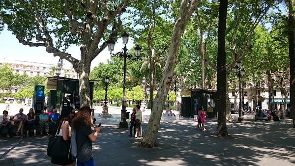 Imagen 146 Ayuntamiento de Sevilla foto