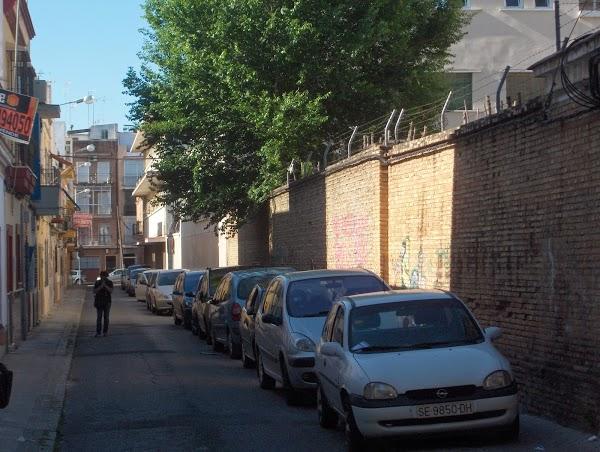 Imagen 79 Ayuntamiento de Sevilla foto