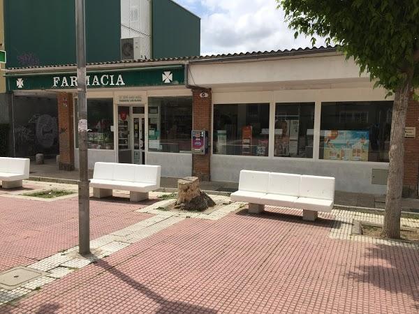 Imagen 34 Hijazi Falafel foto