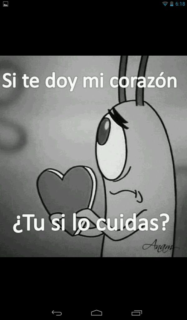 Imagen 4 Zilio Solai Snc foto