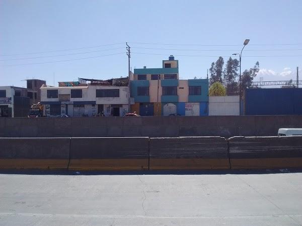 Imagen 14 FLORISTERIA MACIAS FLOR foto