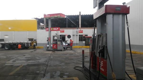 Imagen 61 FLORISTERIA MACIAS FLOR foto