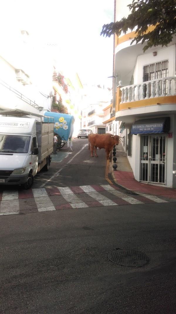 Imagen 173 Parque de ocio-Cafeteria LUNARES foto