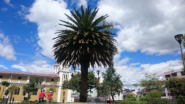 Imagen 64 Foro Pilates foto