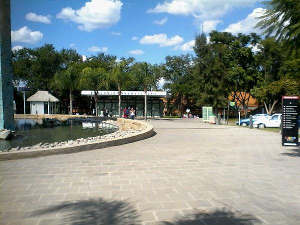 Imagen 139 Parque Zoológico de Irapuato foto