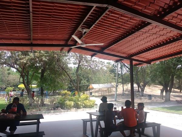 Imagen 140 Parque Zoológico de Irapuato foto