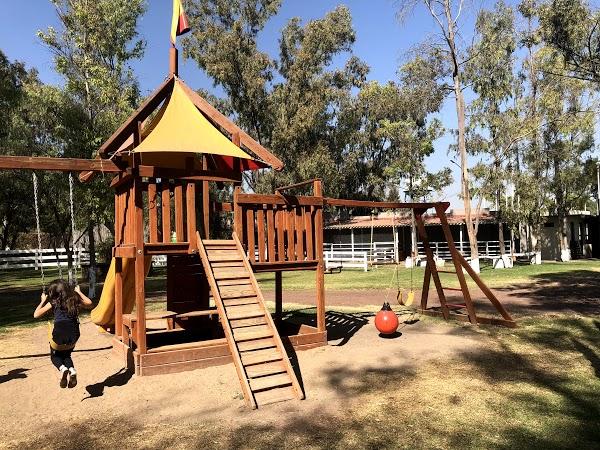 Imagen 149 Parque Zoológico de Irapuato foto