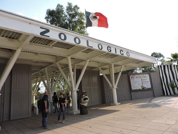 Imagen 150 Parque Zoológico de Irapuato foto