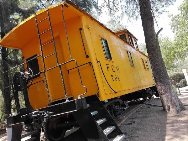 Imagen 152 Parque Zoológico de Irapuato foto