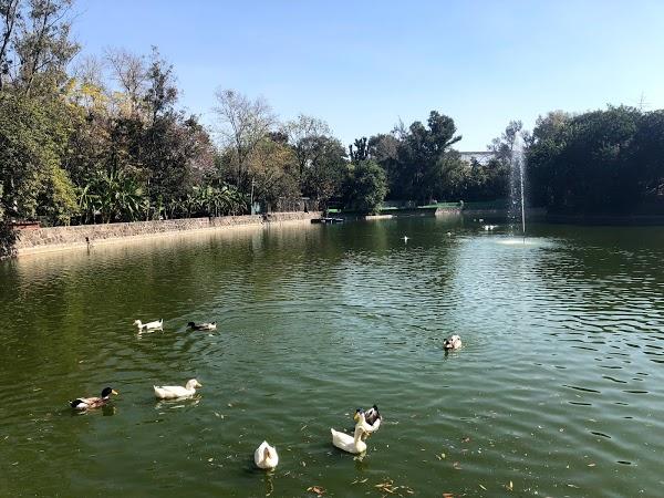 Imagen 154 Parque Zoológico de Irapuato foto