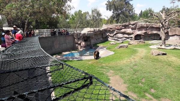 Imagen 161 Parque Zoológico de Irapuato foto