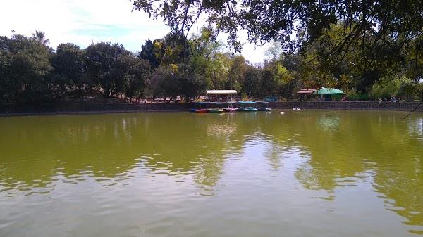 Imagen 165 Parque Zoológico de Irapuato foto