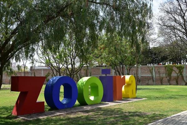 Imagen 172 Parque Zoológico de Irapuato foto