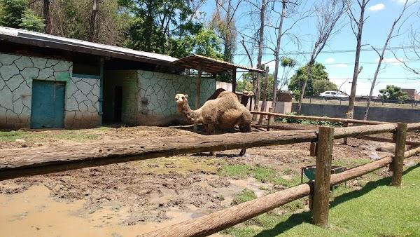Imagen 217 Parque Zoológico de Irapuato foto