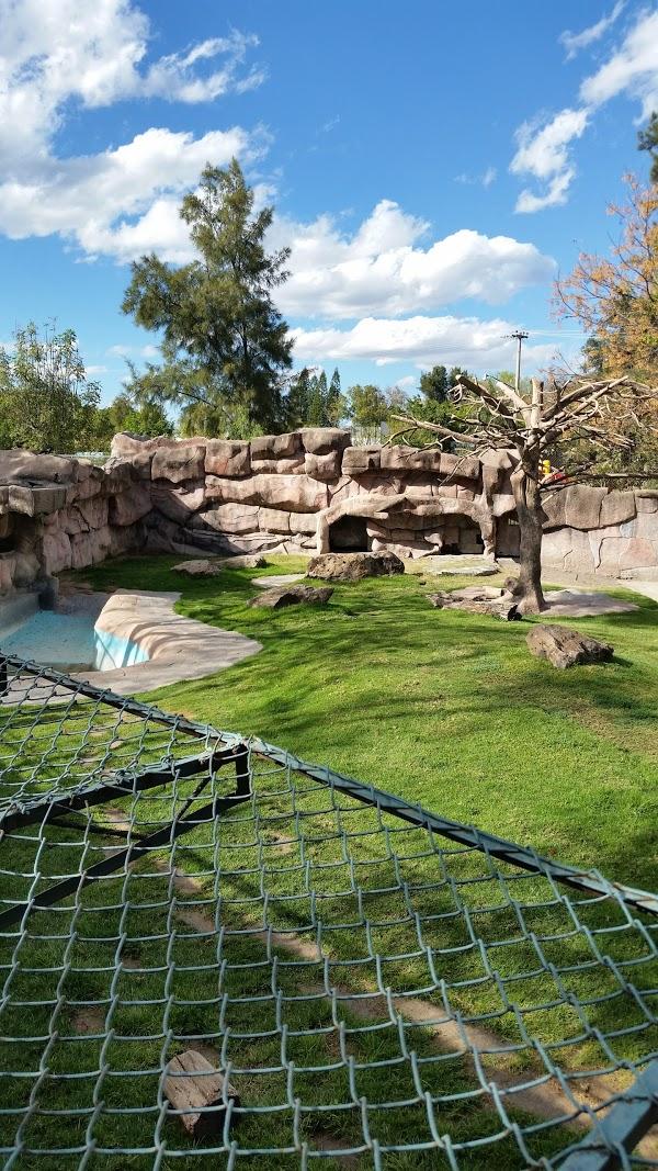 Imagen 46 Parque Zoológico de Irapuato foto
