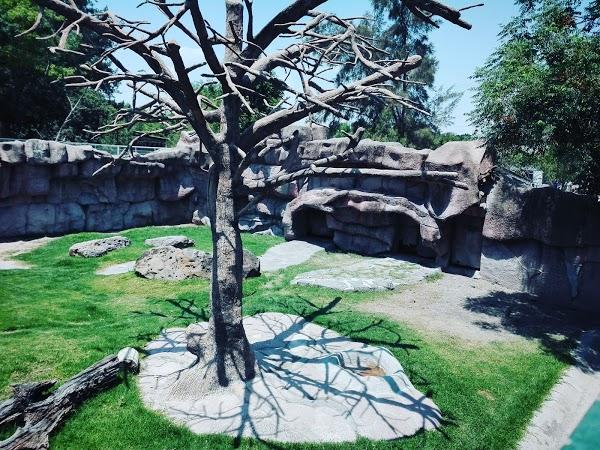 Imagen 51 Parque Zoológico de Irapuato foto