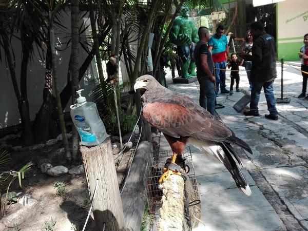 Imagen 54 Parque Zoológico de Irapuato foto
