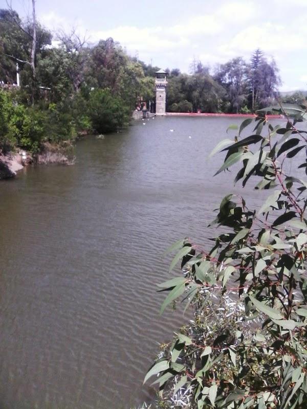 Imagen 74 Parque Zoológico de Irapuato foto